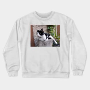 Cat Ragnar be careful Crewneck Sweatshirt